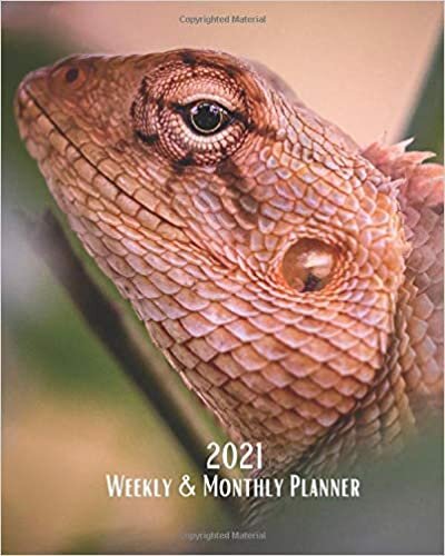 2021 Weekly and Monthly Planner: Iguana - Monthly Calendar with U.S./UK/ Canadian/Christian/Jewish/Muslim Holidays– Calendar in Review/Notes 8 x 10 ... Lizards Reptiles For Work Business School indir