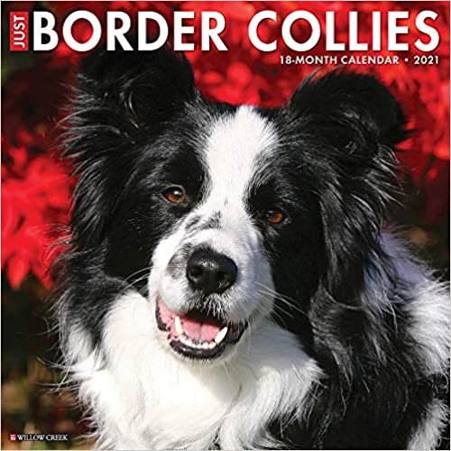 ダウンロード  Just Border Collies 2021 Calendar 本