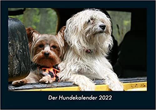 ダウンロード  Der Hundekalender 2022 Fotokalender DIN A4: Monatskalender mit Bild-Motiven von Haustieren, Bauernhof, wilden Tieren und Raubtieren 本