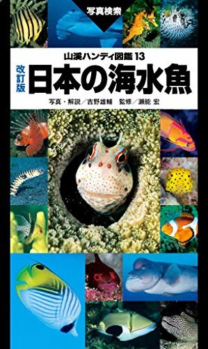 ダウンロード  山溪ハンディ図鑑　改訂版　日本の海水魚 本