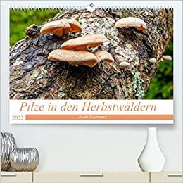 Pilze in den Herbstwaeldern (Premium, hochwertiger DIN A2 Wandkalender 2022, Kunstdruck in Hochglanz): Ein Ueberblick ueber die Pilze, die unsere Waelder fuellen (Monatskalender, 14 Seiten )