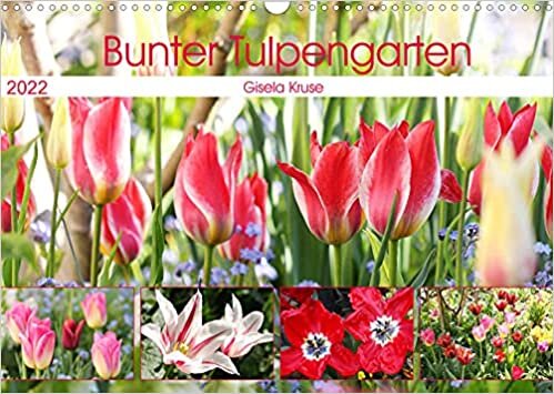 Bunter Tulpengarten (Wandkalender 2022 DIN A3 quer): Tulpen verspruehen ein Farbenfeuerwerk (Monatskalender, 14 Seiten ) ダウンロード