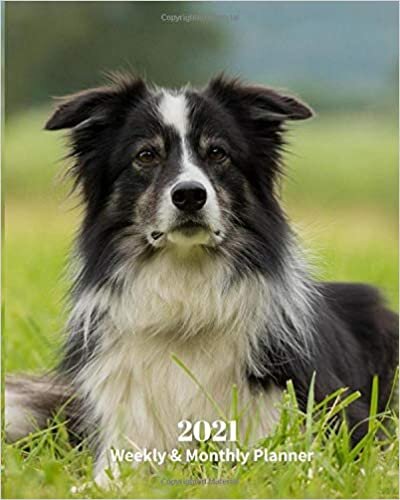 2021 Weekly and Monthly Planner: Border Collie Dog - Monthly Calendar with U.S./UK/ Canadian/Christian/Jewish/Muslim Holidays– Calendar in ... in.- Dog Breed Pets For Work Business School indir
