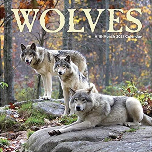 ダウンロード  Wolves Calendar 本