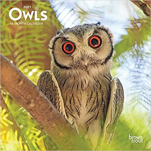 Owls 2021 Calendar indir