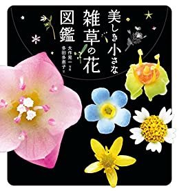 美しき小さな雑草の花図鑑 ダウンロード