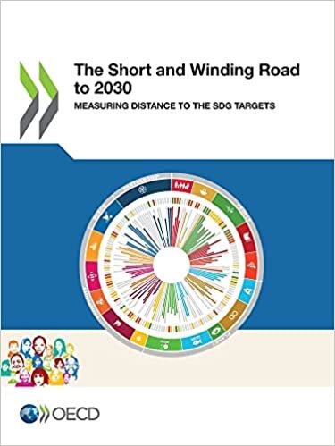 اقرأ The Short and Winding Road to 2030 الكتاب الاليكتروني 