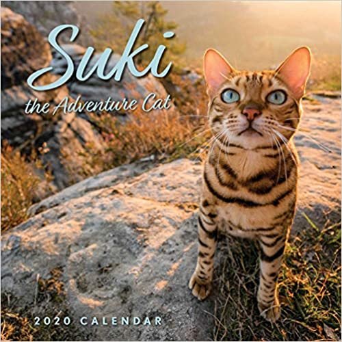 Suki the Adventure Cat 2020 Wall Calendar