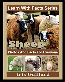 اقرأ Sheep Photos and Facts for Everyone: Animals in Nature الكتاب الاليكتروني 