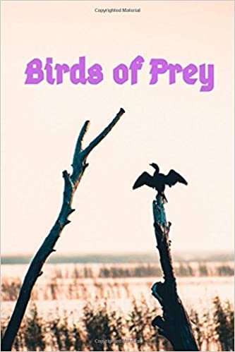 تحميل Birds of Prey: Writing journal/ Composition Notebook / Journal / Diary / Birds of Prey