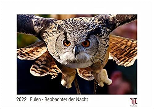 ダウンロード  Eulen - Beobachter der Nacht 2022 - White Edition - Timokrates Kalender, Wandkalender, Bildkalender - DIN A3 (42 x 30 cm) 本