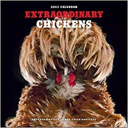 Extraordinary Chickens 2023 Wall Calendar
