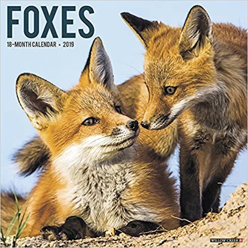 Foxes 2019 Calendar
