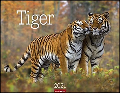 Tiger - Kalender 2021