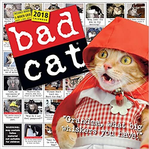 Bad Cat 2018 Calendar