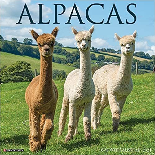 Alpacas 2021 Calendar