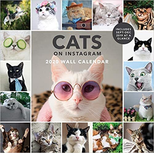 Cats on Instagram 2020 Wall Calendar: (Cat Wall Calendar, 2020 Wall Calendar, Cat Gifts for Cat Lovers)