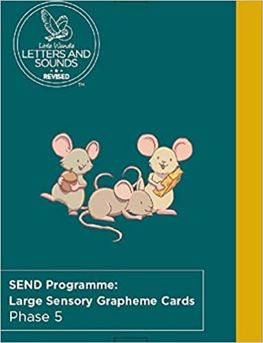 SEND Large Grapheme Cards (sensory): Phase 5