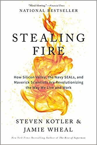 تحميل Stealing Fire: How Silicon Valley, the Navy Seals, and Maverick Scientists are Revolutionizing the Way We Live and Work