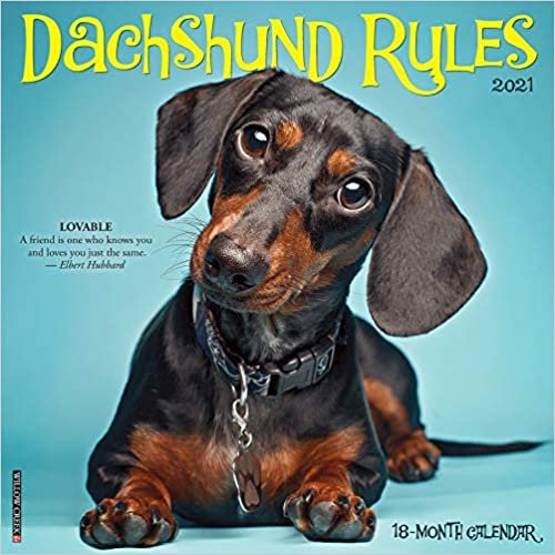 ダウンロード  Dachshund Rules 2021 Calendar 本