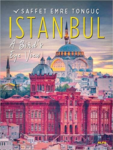 indir Istanbul A Bird’s Eye View (Hardcover)