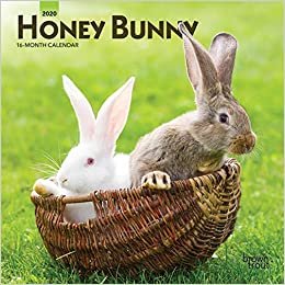 ダウンロード  Honey Bunny 2020 Calendar 本