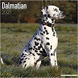 Dalmatians - Dalmatiner 2021 - 16-Monatskalender: Original Avonside-Kalender [Mehrsprachig] [Kalender]: Original BrownTrout-Kalender [Mehrsprachig] [Kalender] (Wall-Kalender) indir