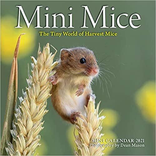 Mini Mice 2021 Calendar: The Tiny World of Harvest Mice