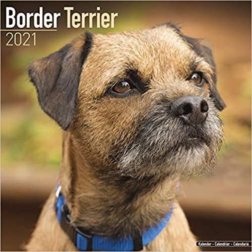 ダウンロード  Border Terrier 2021 Wall Calendar (Square) 本