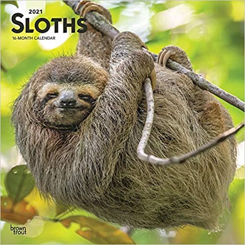 Sloths - Faultiere 2021- 16-Monatskalender: Original BrownTrout-Kalender [Mehrsprachig] [Kalender] (Wall-Kalender) indir