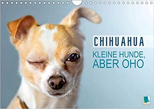 ダウンロード  Chihuahua: Kleine Hunde, aber oho (Wandkalender 2021 DIN A4 quer): Chihuahua: Neugierig, flink und immer bereit fuer ein Abenteuer (Monatskalender, 14 Seiten ) 本