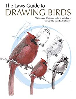The Laws Guide to Drawing Birds (English Edition)