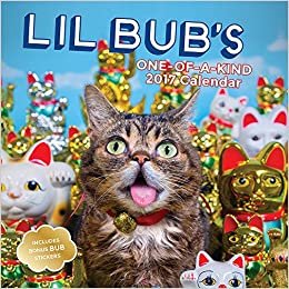 ダウンロード  Lil Bub 2017 Wall Calendar 本