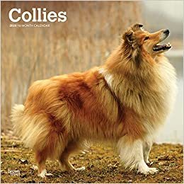 ダウンロード  Collies 2020 Calendar 本