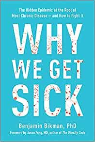 ダウンロード  Why We Get Sick: The Hidden Epidemic at the Root of Most Chronic Disease―and How to Fight It 本