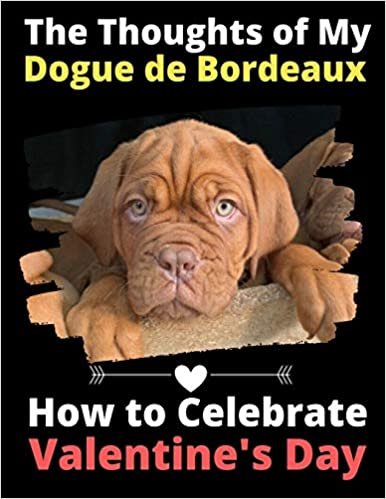 The Thoughts of My Dogue de Bordeaux: How to Celebrate Valentine's Day