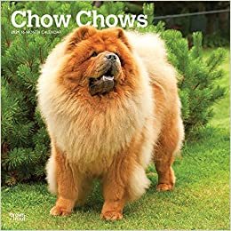 Chow Chows 2021 - 16-Monatskalender mit freier DogDays-App: Original BrownTrout-Kalender [Mehrsprachig] [Kalender] (Wall-Kalender)