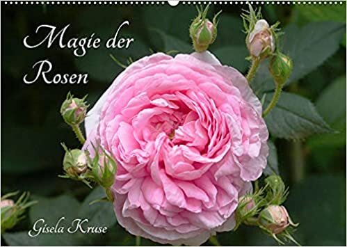Magie der Rosen (Wandkalender 2022 DIN A2 quer): Die nie aufhoerende Anziehungskraft von Rosen (Monatskalender, 14 Seiten ) ダウンロード