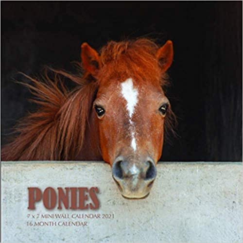 Ponies 7 x 7 Mini Wall Calendar 2021: 16 Month Calendar indir