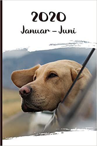 تحميل Kalender 2020: Labrador Retriever Hunde Tageskalender 1. Halbjahr Januar Juni ca DIN A5 weiß über 190 Seiten