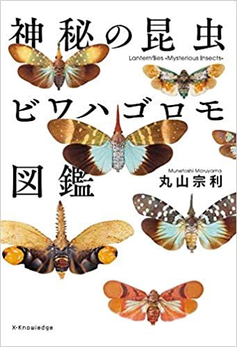 ダウンロード  神秘の昆虫 ビワハゴロモ図鑑 本