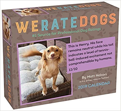 WeRateDogs 2019 Day-to-Day Calendar