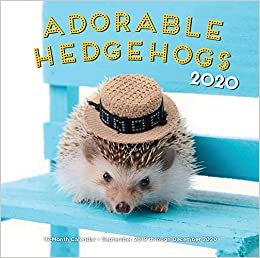 ダウンロード  Adorable Hedgehogs 2020: 16-Month Calendar - September 2019 through December 2020 (Calendars 2020) 本
