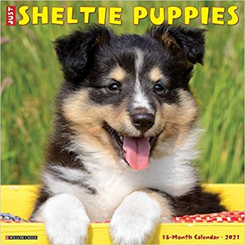 Sheltie Puppies 2021 Calendar indir