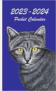 ダウンロード  2 Year Monthly Pocket Planner 2023-2024: Two Year Small Pocket Appointment Calendar Purse Size 4 x 6.5 | 24 Months with Holidays , Important Dates | Agenda January 2023-December 2024 | Pocket Planner 23-24 for Purse Monthly Only( Time Management Planner) 本
