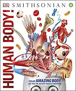 Human Body! (Knowledge Encyclopedias) (English Edition)