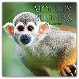 indir Monkey Business 2021 - 16-Monatskalender: Original The Gifted Stationery Co. Ltd [Mehrsprachig] [Kalender] (Wall-Kalender)