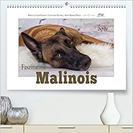 Faszination Malinois (Premium, hochwertiger DIN A2 Wandkalender 2021, Kunstdruck in Hochglanz): Malinois - beeindruckende Bilder dieser wundervollen Rasse begleiten Sie durch das Jahr (Monatskalender, 14 Seiten )