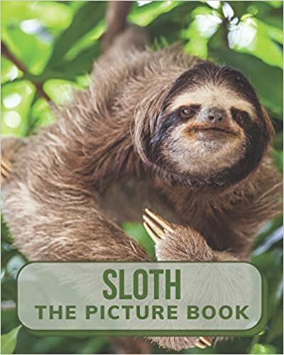 Sloth The Picture Book: Beautiful Picture Book of Sloth Perfect for Alzheimer's Patients and Seniors with Dementia.