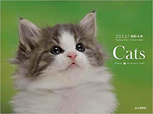 ダウンロード  カレンダー2022 Cats (月めくり・壁掛け・リング) (ヤマケイカレンダー2022) 本